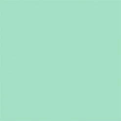 Pearl IZUMi Women's Symphony Thermal Jersey