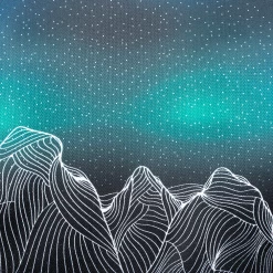 Pearl IZUMi Women's Graphic T-Shirt Clearance